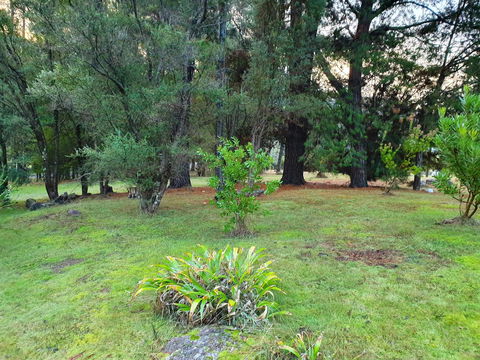 Roland B&B - Accommodation Redcliffe 31
