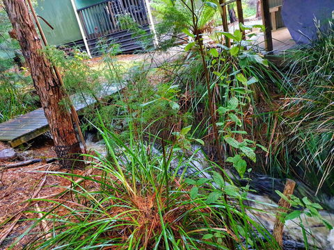 Roland B&B - Accommodation Redcliffe 17