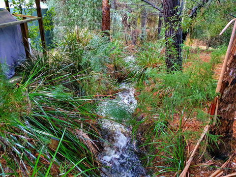 Roland B&B - Accommodation Redcliffe 22
