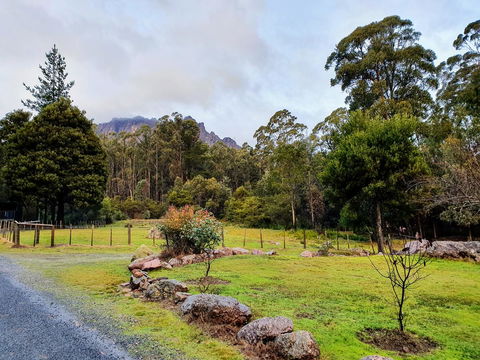 Roland B&B - Accommodation Redcliffe 19