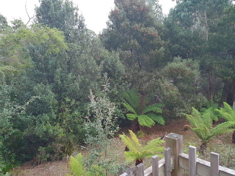 Roland B&B - Accommodation Redcliffe 41