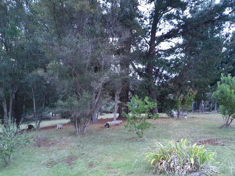 Roland B&B - Accommodation Redcliffe 38