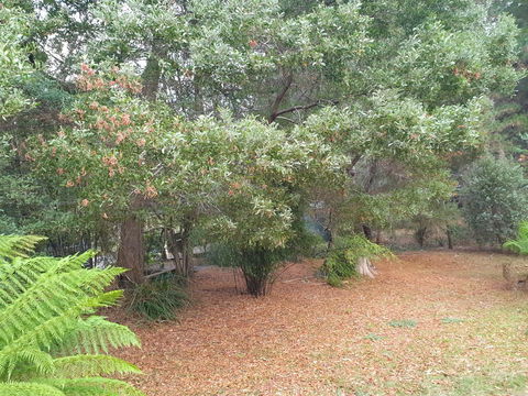 Roland B&B - Accommodation Redcliffe 40