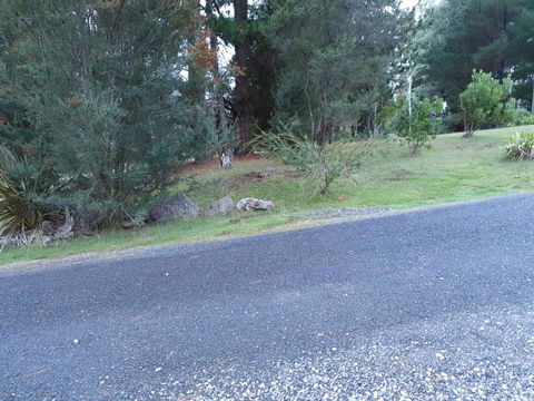 Roland B&B - Accommodation Redcliffe 24