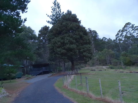 Roland B&B - Accommodation Redcliffe 25