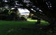 Highgrove - thumb 14
