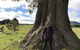 Highgrove - thumb 21