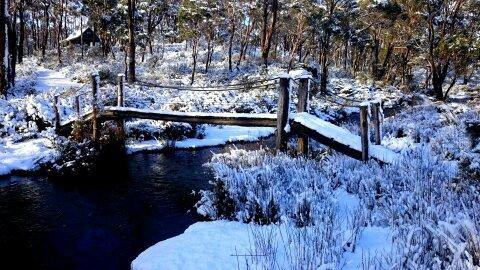 Cradle Mountain Love Shack - Accommodation Redcliffe 10
