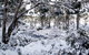 Cradle Mountain Love Shack - thumb 11