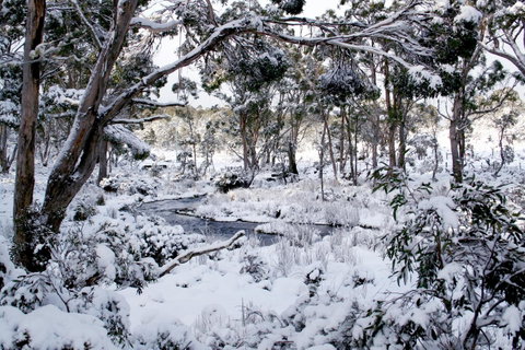 Cradle Mountain Love Shack - Accommodation Redcliffe 11