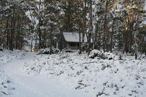 Cradle Mountain Love Shack - Accommodation Redcliffe 7