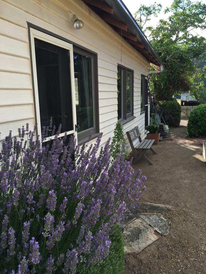 Campania TAS Accommodation Redcliffe