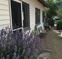 Walnut Cottage - Accommodation Redcliffe