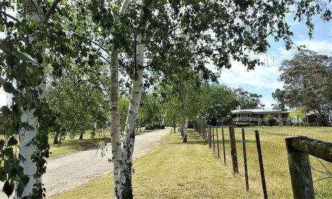 Nicholson BnB And Arts Centre - Accommodation Redcliffe 0