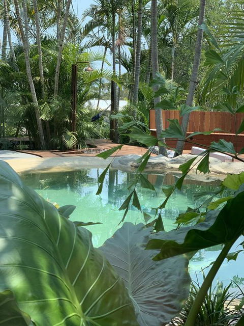 Noosa Beach Cottage - Accommodation Redcliffe 3