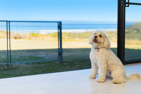 Ocean Paradise - Accommodation Redcliffe 2
