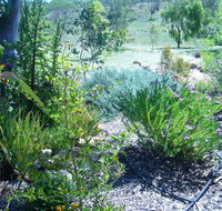 Old Miners' Cottages Bed and Breakfast - Accommodation Redcliffe