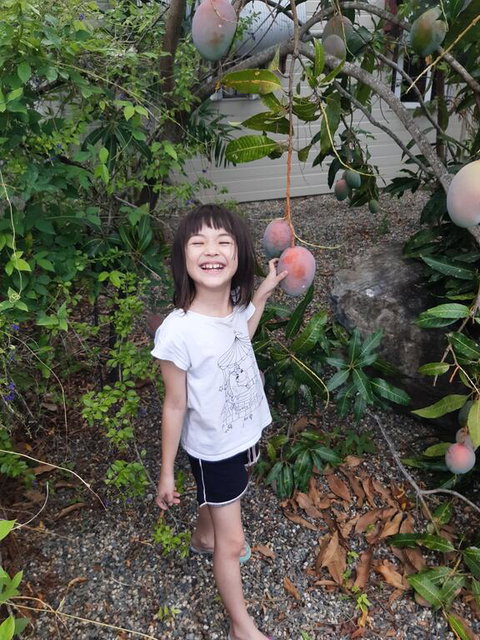 Paradise Travellers Rest - Accommodation Redcliffe 2