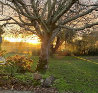 Peg Cottage - Accommodation Redcliffe