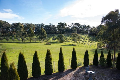 Phoenix - Accommodation Redcliffe 3