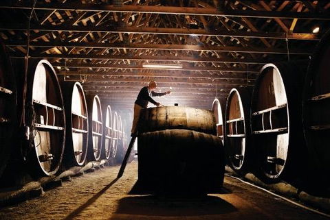 Pieter Van Gent Winery & Vineyard - Accommodation Redcliffe 0