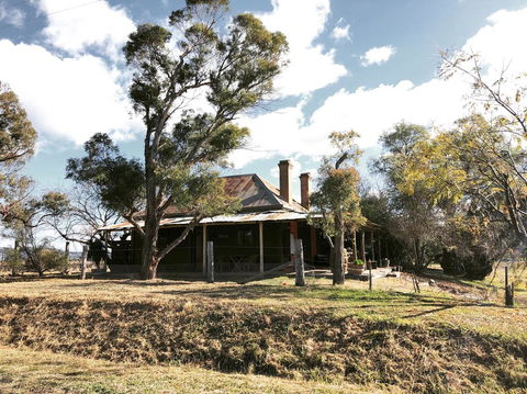 Pieter Van Gent Winery & Vineyard - Accommodation Redcliffe 3