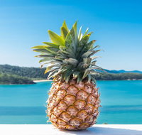 Pineapple House Whitsundays - Accommodation Redcliffe