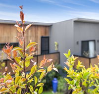 Pretty Haven - Accommodation Redcliffe