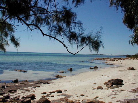 Purple Patch - Accommodation Redcliffe 1