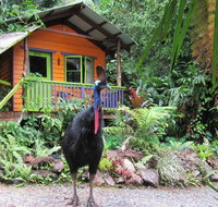Rainforest Hideaway - Accommodation Redcliffe