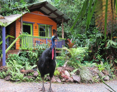 Rainforest Hideaway - Accommodation Redcliffe 0