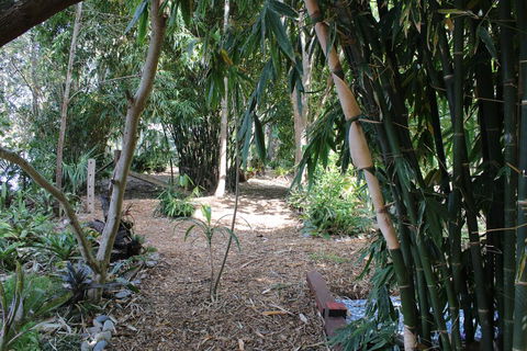 Rainforest, Water Front, River Shack, Secluded. - Accommodation Redcliffe 0