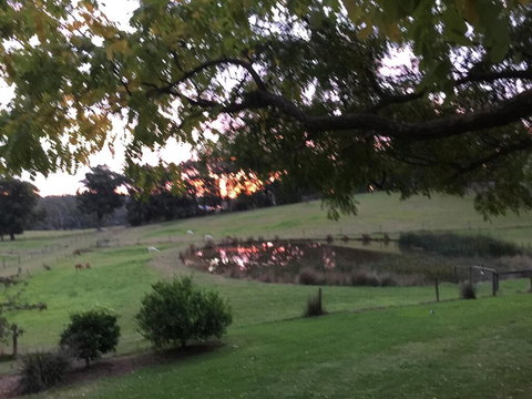 Raynella Alpaca Farmstay - Accommodation Redcliffe 2