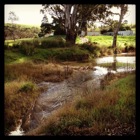 River Cottage Barossa -Self Contained-30 Acres-360 Degree Views-Netflix -Wine-Wifi - Accommodation Redcliffe 3