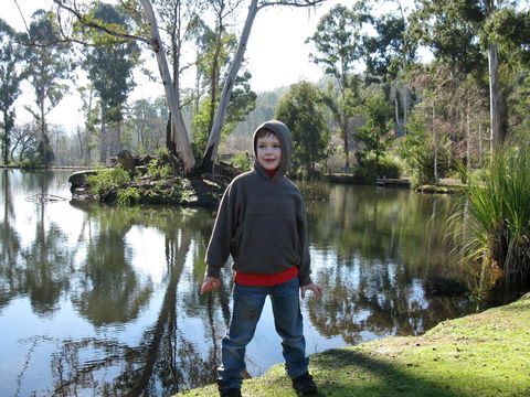 RiverCottage-selfcontained - Accommodation Redcliffe 2