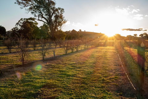 Riverview Farm & Guesthouse - Accommodation Redcliffe 3