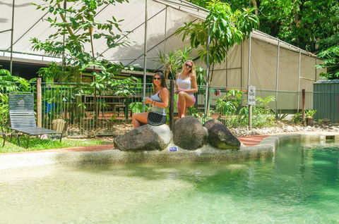 Safari Lodge - Accommodation Redcliffe 2
