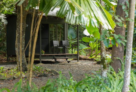 Safari Lodge - Accommodation Redcliffe 3