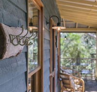 Scribbly Gum - Accommodation Redcliffe