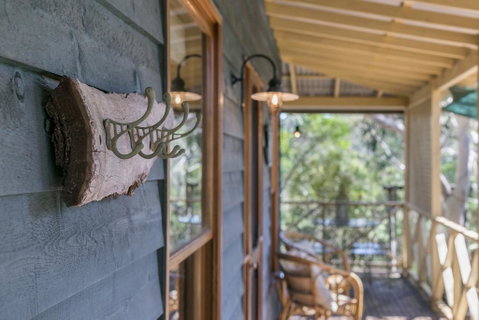 Scribbly Gum - Accommodation Redcliffe 0