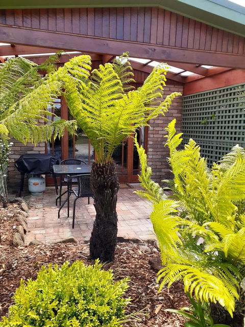 Sleepy Hollow Hideout (Hidout 2) - Accommodation Redcliffe 1