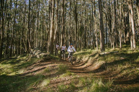 Spicers Peak Lodge - Accommodation Redcliffe 3