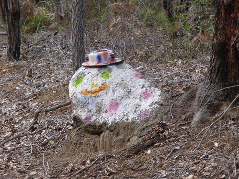 Splendid Wren Cottage - Accommodation Redcliffe 3