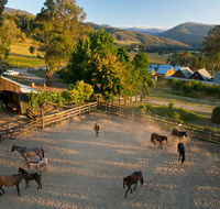 Spring Spur - Accommodation Redcliffe