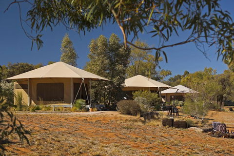 Squeakywindmill Boutique Tent B&B - Accommodation Redcliffe 0