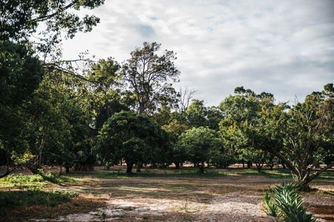 Standing Stone House - Accommodation Redcliffe 3