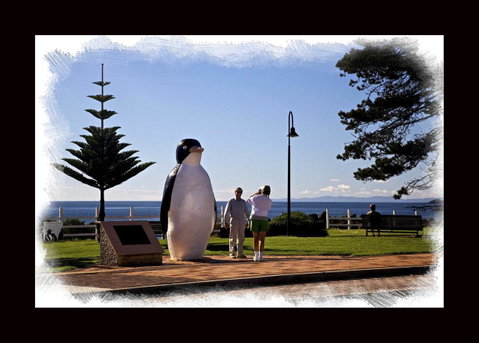 Penguin Beachfront Apartments - Accommodation Redcliffe 13
