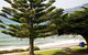 Penguin Beachfront Apartments - thumb 9