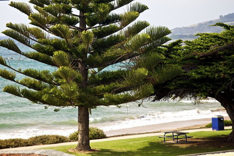 Penguin Beachfront Apartments - Accommodation Redcliffe 9