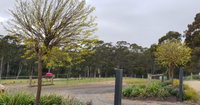 Book Lebrina Accommodation Vacations Accommodation Redcliffe Accommodation Redcliffe